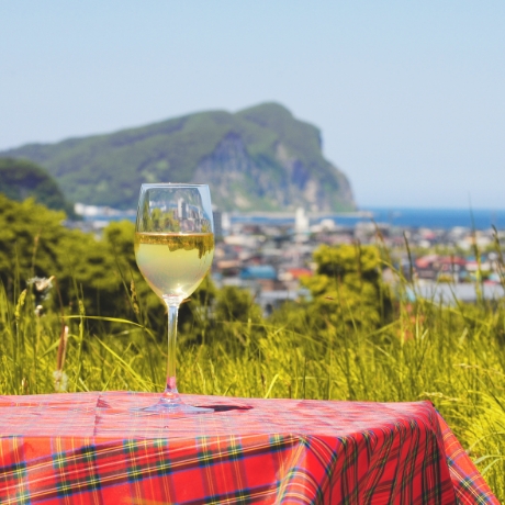 北海道のワインと芸術